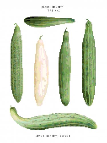 Frame Cucumbers - Ernst Benary Collection  Pattern Chart Graph