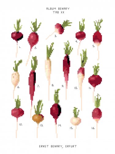 Radishes2 - Ernst Benary Collection  Pattern Chart Graph