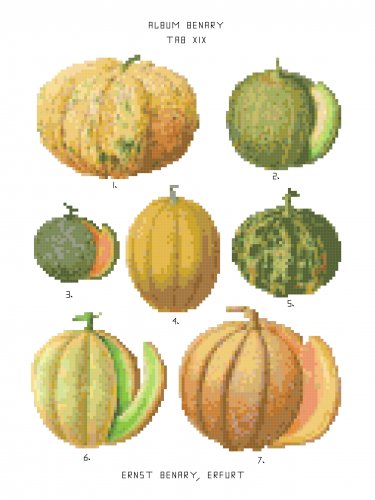 Melons - Ernst Benary Collection  Pattern Chart Graph