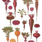Beets - Ernst Benary Collection  Pattern Chart Graph