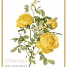 Wildroses 3 Rosa Hemisphaerica  Pattern Chart Graph