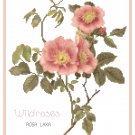 Wildroses 1 Rosa Laxa  Pattern Chart Graph