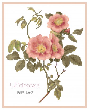 Wildroses 1 Rosa Laxa  Pattern Chart Graph