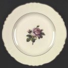 Large Dinner Plate