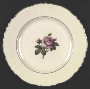 Large Dinner Plate
