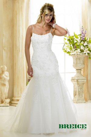 Custom made A-line wedding dresses 2011 AD009