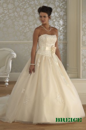 Custom made pink wedding dresses ADW258
