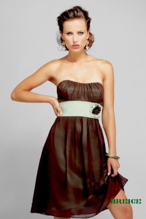 Short bridesmaid/ formal/ wedding guest dresses AD4006