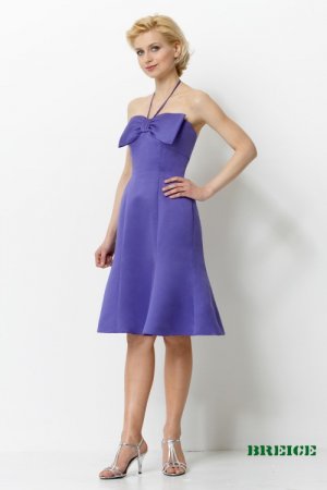 Short bridesmaid/ formal/ wedding guest dresses AD3902