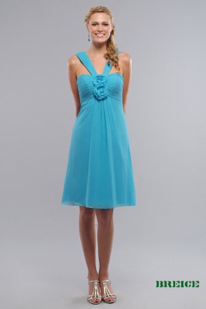 Bridesmaid/ formal/ wedding guest dresses AD229