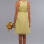 Bridesmaid/ formal/ wedding guest dresses AD239