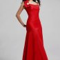 Bridesmaid/ formal/ wedding guest dresses AD904