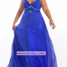 Plus Size Long Evening Dresses Prom Party Formal Gowns PT001