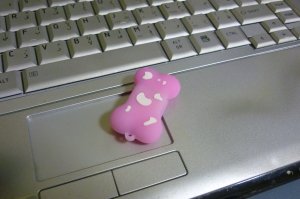 4GB CUTE PINK BONE Flash Memory Stick Thumb Drive