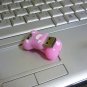 4GB CUTE PINK BONE Flash Memory Stick Thumb Drive