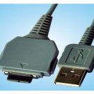 Sony DSC-W150 DSC-W150/N DSC-W170 DSC-W170/N DSC-W200 DSC-W300 DSC-N1 DSC-N2 USB Cable grey