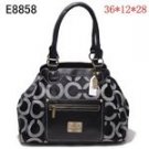 Signature C Purse
