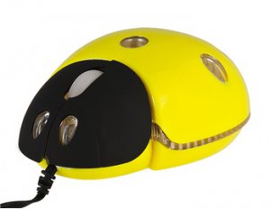 Cute Ladybird x7