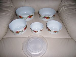 PVC Bowls w Covers Set Of Five