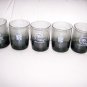 Packer 12 oz Glasses set of Five