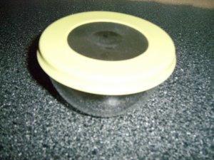 Onion Saver By Progressive Dishwasher Safe BNK406