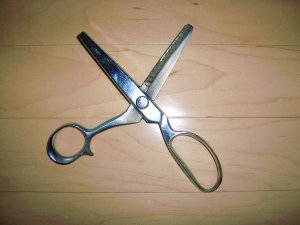 Pinking Sheers 8" BNK462