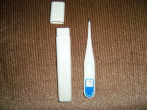 Thermometer In Case BNK4