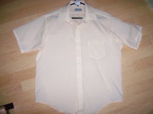 Men's Short Sleeve Shirt by Super Silk BNK599
