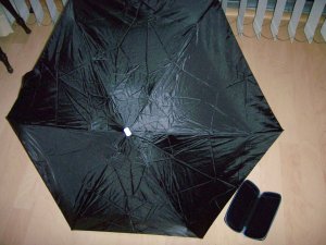 Umbrella Black 30" Coverage BNK676