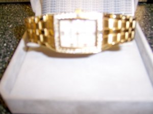 Men's Gold Expansion Bracelet Watch  BNK1119