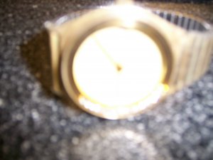 Men's CVP Watch W Gold Expasion Band BNK1123