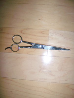 Hair Cutting Shears  BNK1171