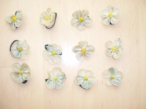 Set Of Twelve Daisy Napkin Holders  BNK1348