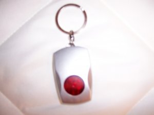 Key Chain 4" with Light  BNK1727