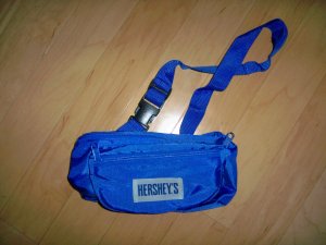 Waist Type Purse Blue W Strong Strap  BNK1877