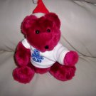 Marroon Teddy Bear BNK1898