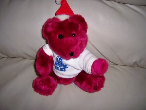 Marroon Teddy Bear BNK1898