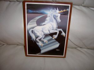 Unicorn Dancing Down The Road  BNK1939