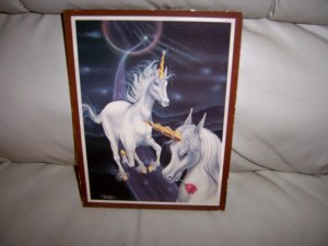 Two Unicorns Playing On The Road  BNK1941