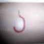 Red Rubberized Hanging Hooks  BNK2193