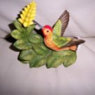Humming Bird w Yellow Aphelandra  BNK2385