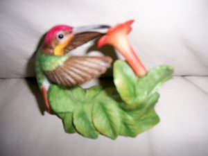 Ruby-Topaz Hummingbird W Red Trumpet Creeper BNK2387