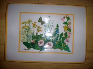Placemats Set Of Six Flowers & Checkered BNK2404