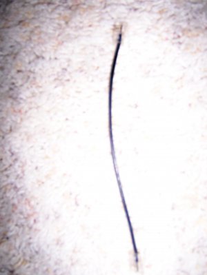 Phone 6" Plug In   BNK2579