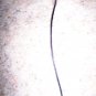 Phone 6" Plug In   BNK2579