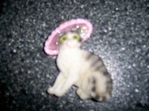 Magnet 3"x2" Gre/White Cat W Pink & Red HAt  BNK2714