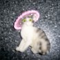 Magnet 3"x2" Gre/White Cat W Pink & Red HAt  BNK2714
