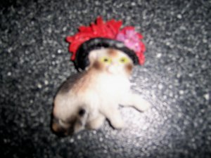 Magnet 3"x2" Brown/White Cat W Black And Red Hat  BNK2713