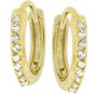 Hoops Earrings