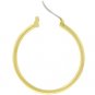 Golden Hoops Earrings